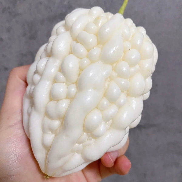 Apple Bitter Gourd, 5 Seeds