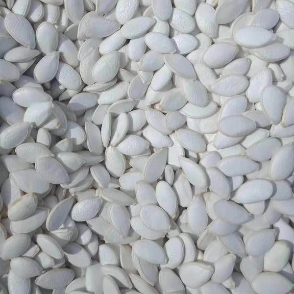 Qingyuan Black Stem Rootstock Seeds, 100 Grams ≈ 500 Seeds