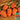 U2225 Oxheart Carrot, 50~100 Seeds