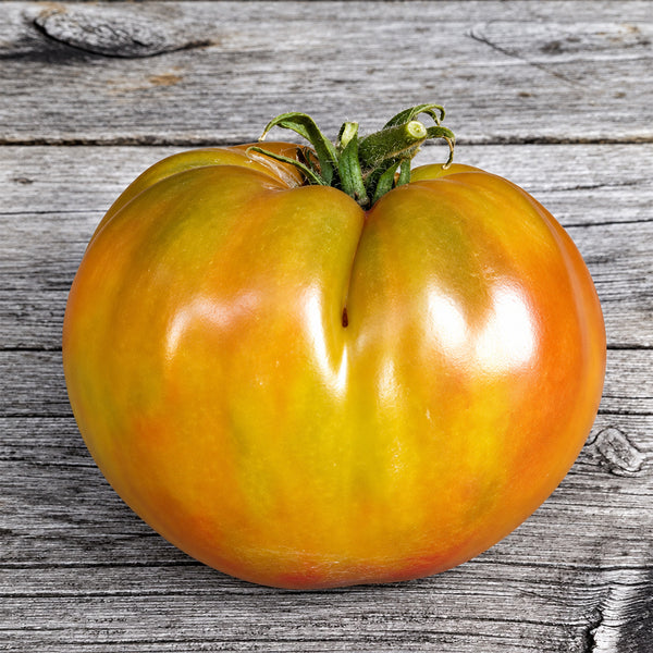 467 Dwarf Grandma's Chocolate Tomato, 5 Seeds