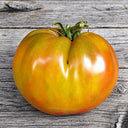 467 Dwarf Grandma's Chocolate Tomato, 5 Seeds
