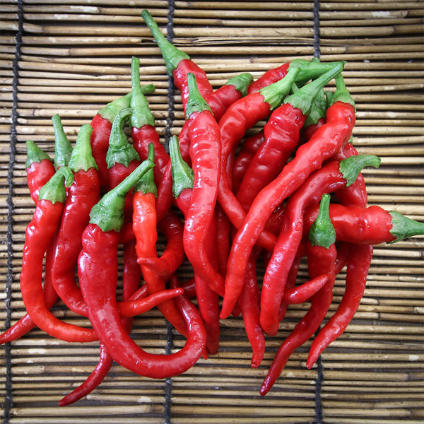 Cayenne Pepper, 20~30 Seeds