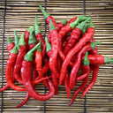Cayenne Pepper, 20~30 Seeds