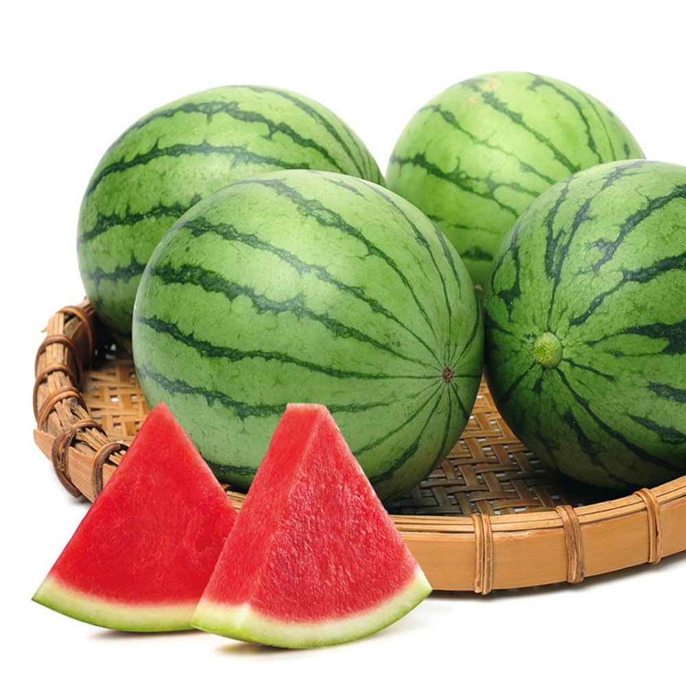 'Apis Forea' Series Bonsai Watermelon Seeds