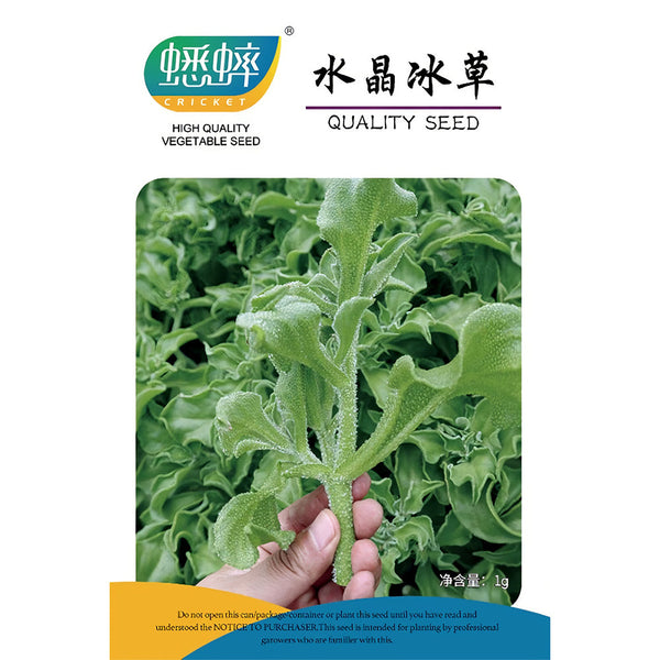 Crystalline Ice Plant Vegetable Seeds