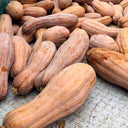 Chinese Miben Pumpkin Seeds