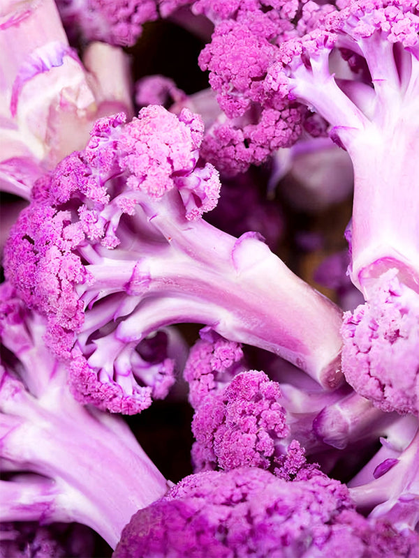 Cauliflower, Colourful Varieties