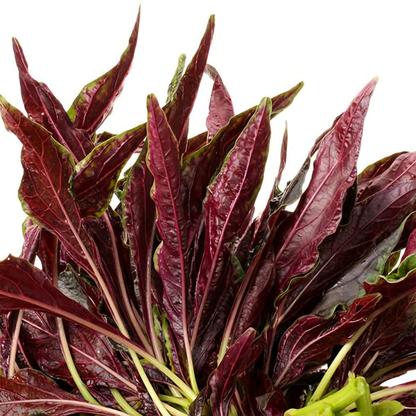 Edible Amaranth Seeds, Red Fine-leaved Vegetables