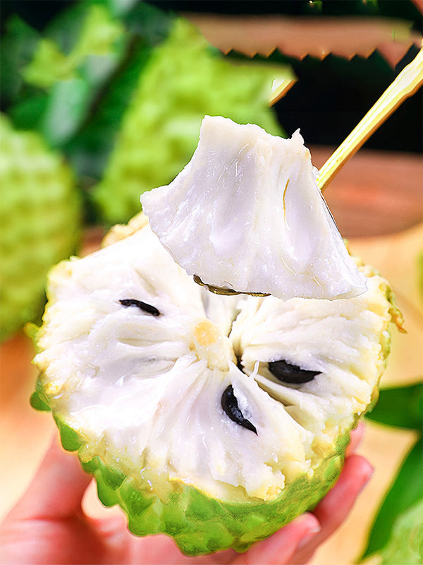 Soursop Seeds