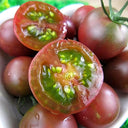 'Purple Pearl' Cherry Tomato Seeds