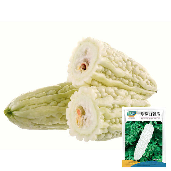Pearl White Bitter Melon Seeds, 10 Seeds