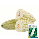 Pearl White Bitter Melon Seeds, 10 Seeds