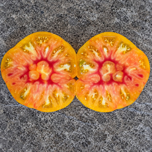 207 Stanley Tomato, 5 Seeds