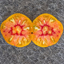 207 Stanley Tomato, 5 Seeds