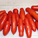 440 Jelly Bean Long Tomato, 5 Seeds