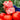 Provence Tomato Seeds, 20 Seeds