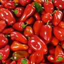 Mixed Color Fruit Pepper, 80 Seeds