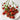 144 Dark Dwarf Multiflora Tomato, 5 Seeds