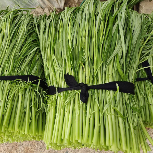 Willow Leaf Water Spinach Seeds, 10 Grams ≈ 250 Seeds
