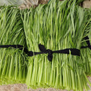 Willow Leaf Water Spinach Seeds, 10 Grams ≈ 250 Seeds