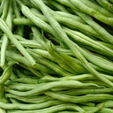 Stringless Snap Bean King Seeds, 5 × 10g Bags