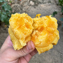 U2609 Large Yellow Persimmon Tomato, 100 Seeds