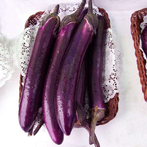 Zilong No.1 Eggplant, 200 Seeds