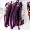 Zilong No.1 Eggplant, 200 Seeds