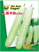 Shangli White Cucumber Seeds, Pack of 80