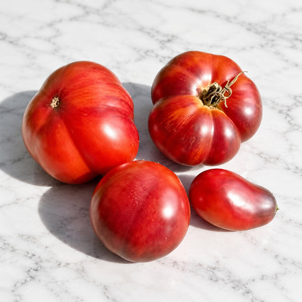 1144 Rose of Dinaburg F6 Tomato, 5 Seeds