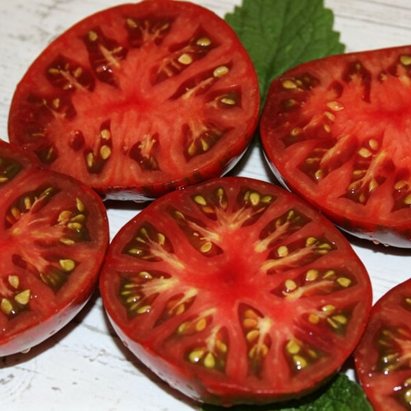 627 Dwarf Mississippi Queen Tomato, 5 Seeds
