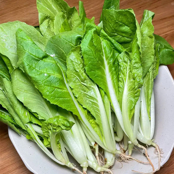 The Four Seasons of Chinese Cabbage Seeds, 5 × 5g Bags