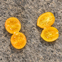 545 Tigret Yellow Tomato, 5 Seeds