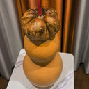 Small Lotus-head Gourd, 10 Seeds