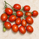 419 Russian Queen Tomato, 5 Seeds