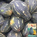 Sweet Taro Pumpkin Seeds, 20 Seeds