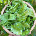 Pig-ear-shaped Hyacinth Bean Seeds, 20g
