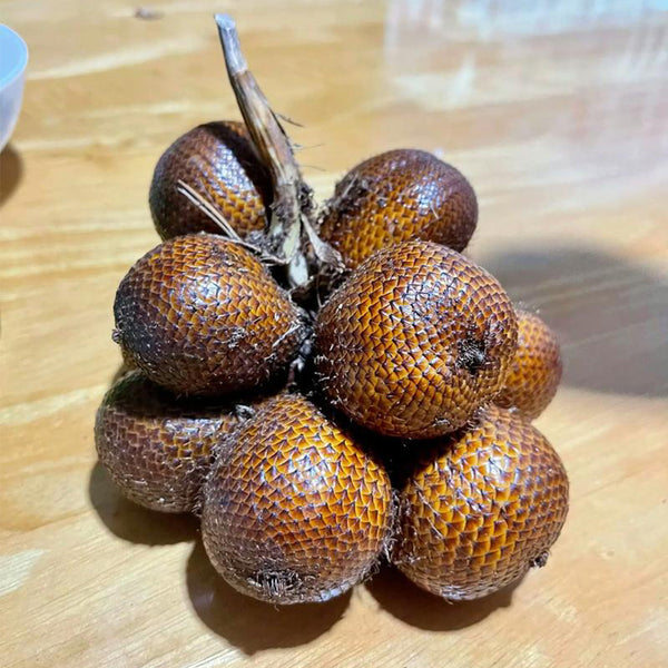 Salak Palm, 5 Seeds