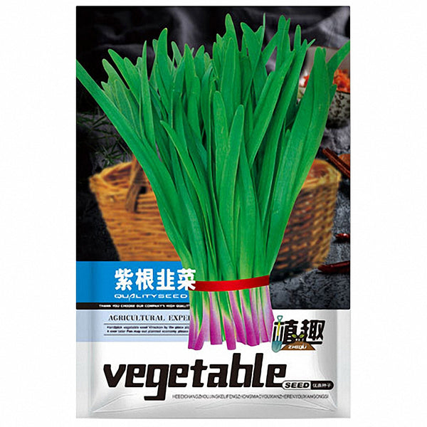 ZHIQU Purple-rooted Chinese Chives Seeds, 5 × 5g Bags