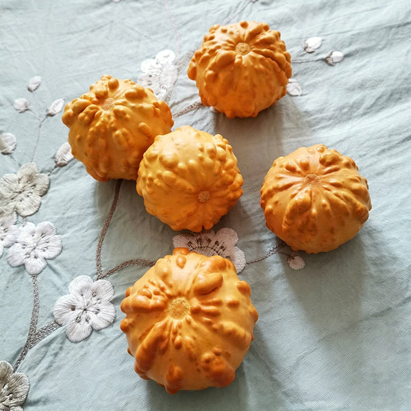 Small Bumpy Gourd, 10 Seeds