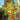 Red Currant Sweet Pea Tomato, 20~30 Seeds