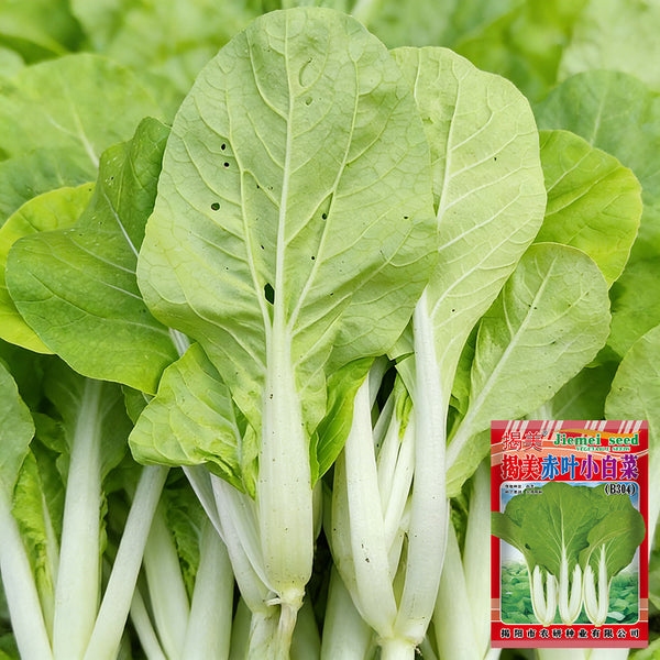 Jiemei Pak Choi Seeds, 25g