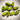 526 Shining Emerald Tomato, 5 Seeds
