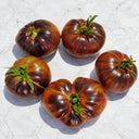 56 Rebel × Marsha's Beefsteak Tomato, 5 Seeds