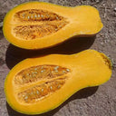 'Jiemei' Miben Pumpkin, 10 Seeds