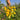 8 Dean's Chickie Cherry Tomato, 5 Seeds