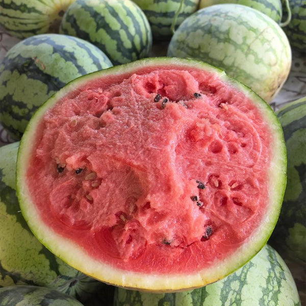 Xiumei Meidu Watermelon, 20 Seeds