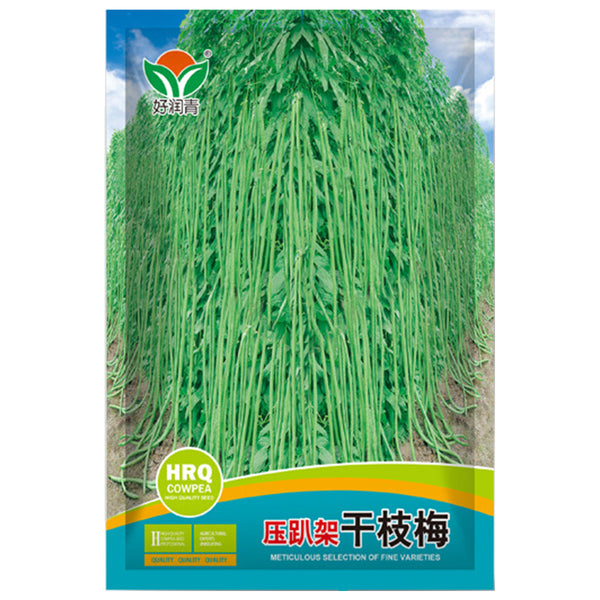 Ganzhimei Yardlong Bean Seeds, 5 × 50-seed Bags