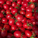 'Imperial Ruby' Traditional Cherry Tomato Seeds, 20 Seeds