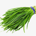 HUAJUN 791 Series Chinese Chives Seeds, 5 × 5g Bags